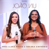 João Viu (Ao Vivo) - Single