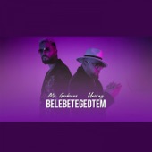 Belebetegedtem (feat. Herceg) artwork