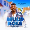 Ndi Mulokole - Single