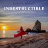 Indestructible - Single