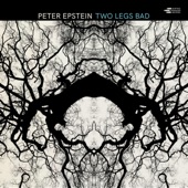 Peter Epstein - Never Odd or Even