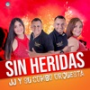 Sin Heridas - Single