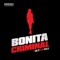 BONITA CRIMINAL (feat. PUTO X) artwork