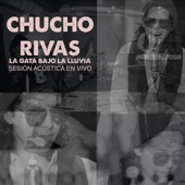 La Gata Bajo la Lluvia (Sesión Acústica en Vivo) artwork