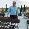 Best of Nelut Peste - Single