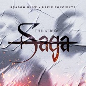 Saga The Album artwork