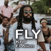 Fly - Single