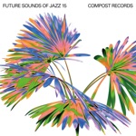 Future Sounds of Jazz Vol. 15