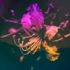 Sakura Flower (feat. Steve Kilbey) album lyrics, reviews, download