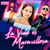 La Vida Es Maravillosa (feat. Master Music) artwork