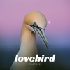 Lovebird - Single