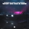 What We Had Is Gone - Single