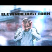 Elevandiluust Torn artwork