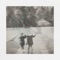 Daughters - Andrew Land lyrics