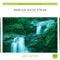 Nature Water Mountain Stream cover