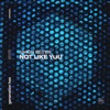 Not Like You - Single