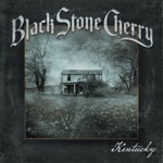 Black Stone Cherry - Soul Machine