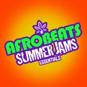 Afrobeats Summer JAMS Essentials artwork