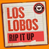 Los Lobos - Rip It Up