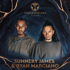 special tomorrowland 2023 ... live .. 40 live .. 300x300bb