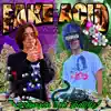 FAKE ACID (feat. Acid Souljah) - Single album lyrics, reviews, download
