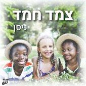 יום הולדת artwork