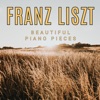 Franz Liszt - Beautiful Piano Pieces