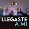 Llegaste a Mi - Single