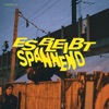 Es bleibt spannend - Single