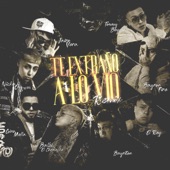 Te Extraño a Lo Vio (feat. Balbi El Chamako, Bayron Fire, Bayriton, Tommy Boysen, Gringuitos Records, El Rey) [Remix] artwork