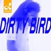 dublab presents Dirty Bird: Electric Soul Mix (DJ Mix) artwork