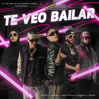 Te Veo Bailar (feat. Brray & Alejandro Armes) by DJ Nelson, Wisin & Yandel & Baby Rasta y Gringo song reviws