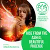 Rise From the Ashes, Beautiful Phoenix - Single album lyrics, reviews, download