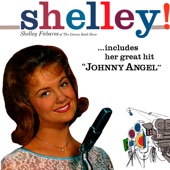 Shelley Fabares of the Donna Reed Show artwork