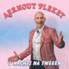 'S Nachts Na Tweeën - Single