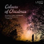The Colours of Christmas artwork