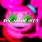 Fly in the Web - ChewieCatt lyrics