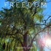 Freedom - Single