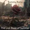 The Last Rose of Summer (feat. Elias Sjödin) - Single album lyrics, reviews, download