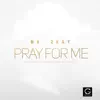 Pray for Me - Single album lyrics, reviews, download