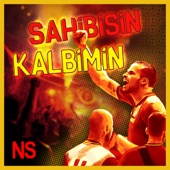 Sahibisin Kalbimin artwork