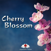 Cherry Blossom - Japanese Relax