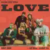 How Do You Love (with Lee Brice & Lindsay Ell) - Single album lyrics, reviews, download