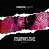 Somebody That I Used To Know - Single