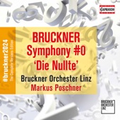 Symphony in D Minor, WAB 100 "Die Nullte": III. Scherzo. Presto - Trio. Langsamer und ruhiger artwork