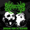 Swinging from the Meathook - Single