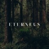 Eterneus - Single