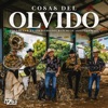 Cosas del Olvido - Single