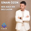 Her Aşka Bir Deli Lazım - Single