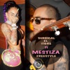 Freestyle Con Mestiza - Single